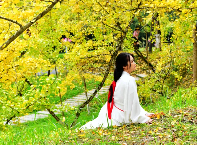 11月下旬自駕到南雄帽子峰森林公園景區