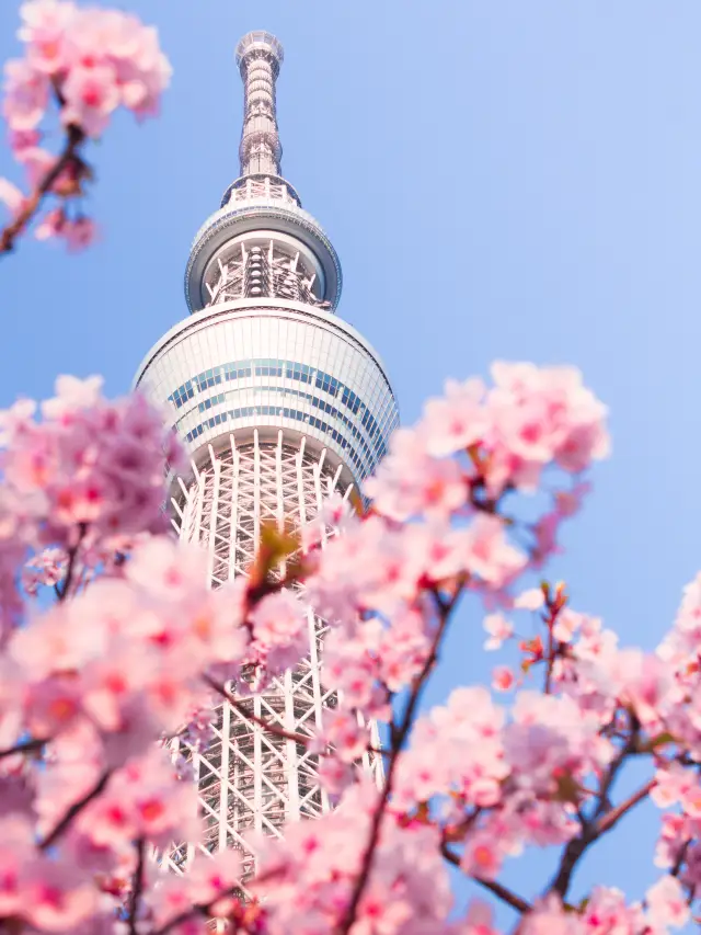 The Ultimate Guide to Tokyo Skytree