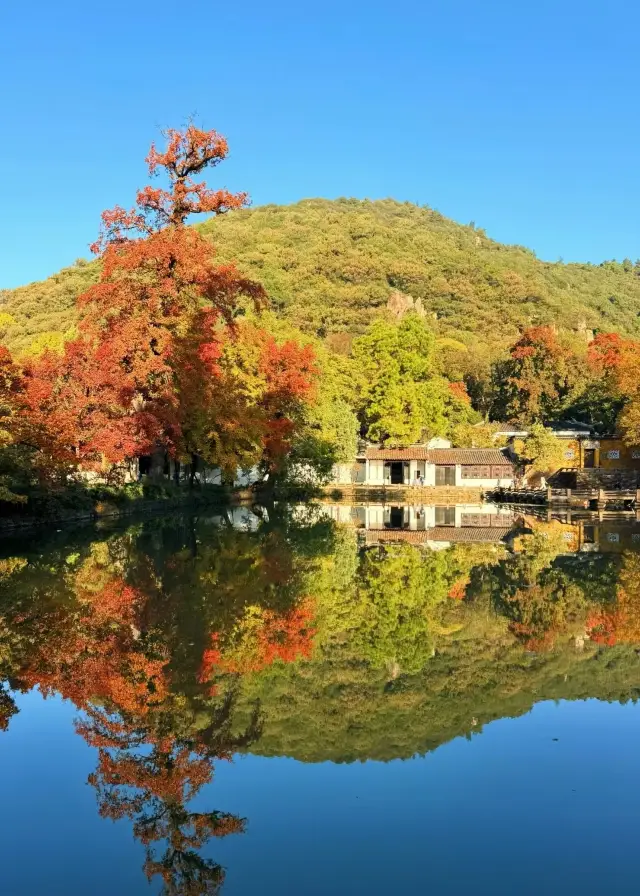 Suzhou Tianping Mountain | In autumn, in the west of Gusu City, Tianping red maple is the best in the world