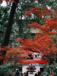 鶴鳴山道觀|道教發源地～賞楓葉賞銀杏聖地