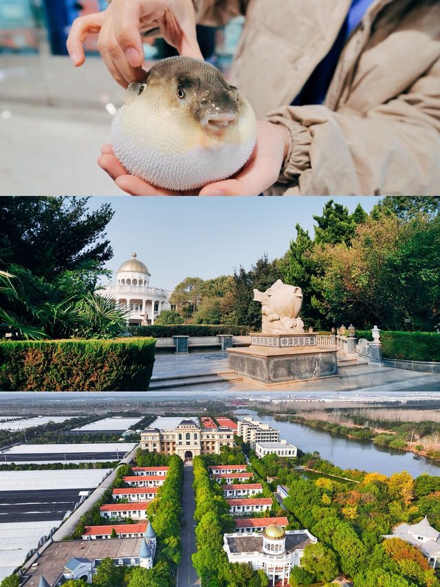 南通海安旅行攻略，這些點你必須得去！