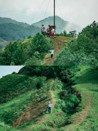 鳳龍山-入門級徒步路線