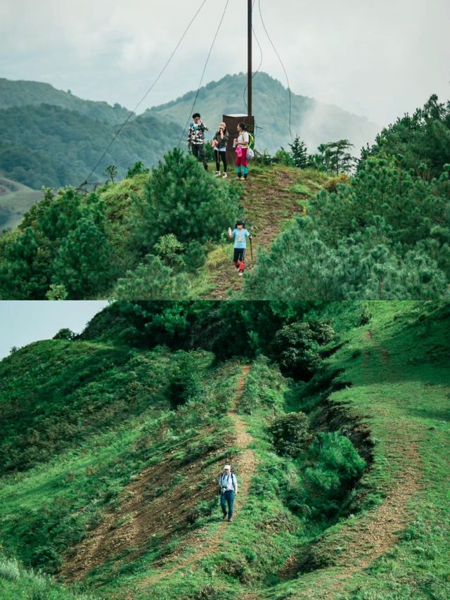 鳳龍山-入門級徒步路線