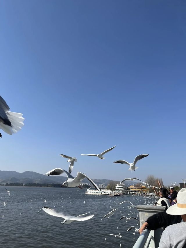 昆明必去九大景點，你去過幾個