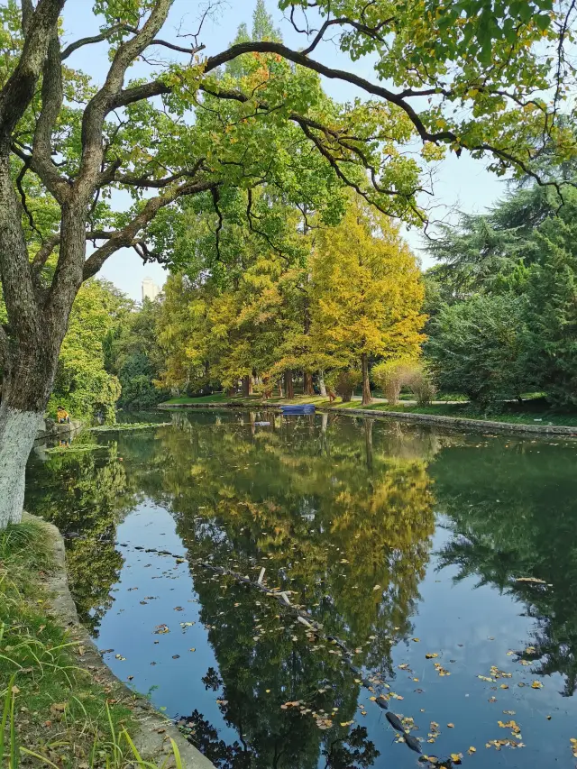 【愛知県合肥市】逍遥津公園