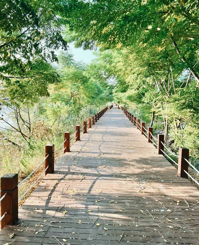 邂逅自然之美——海豐縣大湖鎮濕地公園