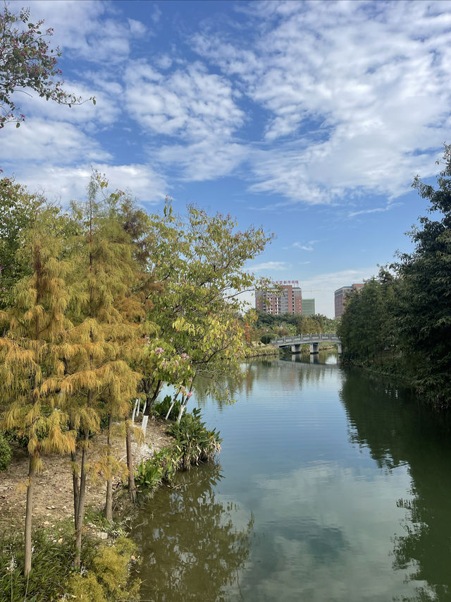 華陽湖水上森林公園