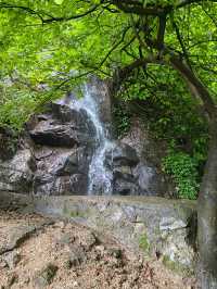 郴州王仙岭｜｜宛如在畫中