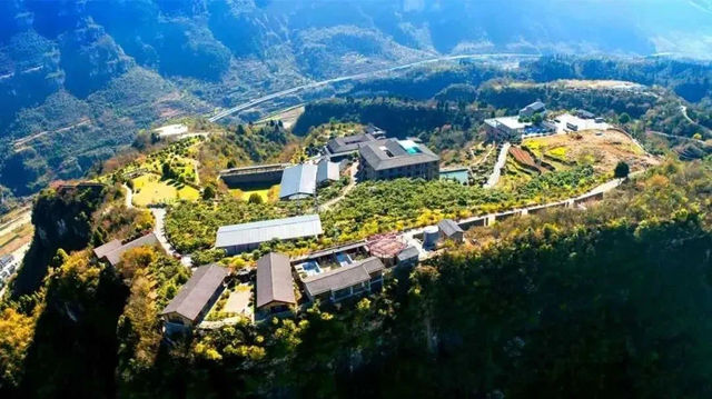 “宜昌小臍橙”發出邀約！“哈爾濱凍梨們”，夷陵區這些景區免費