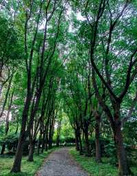 金海濕地公園,這裡不僅僅只有濕地