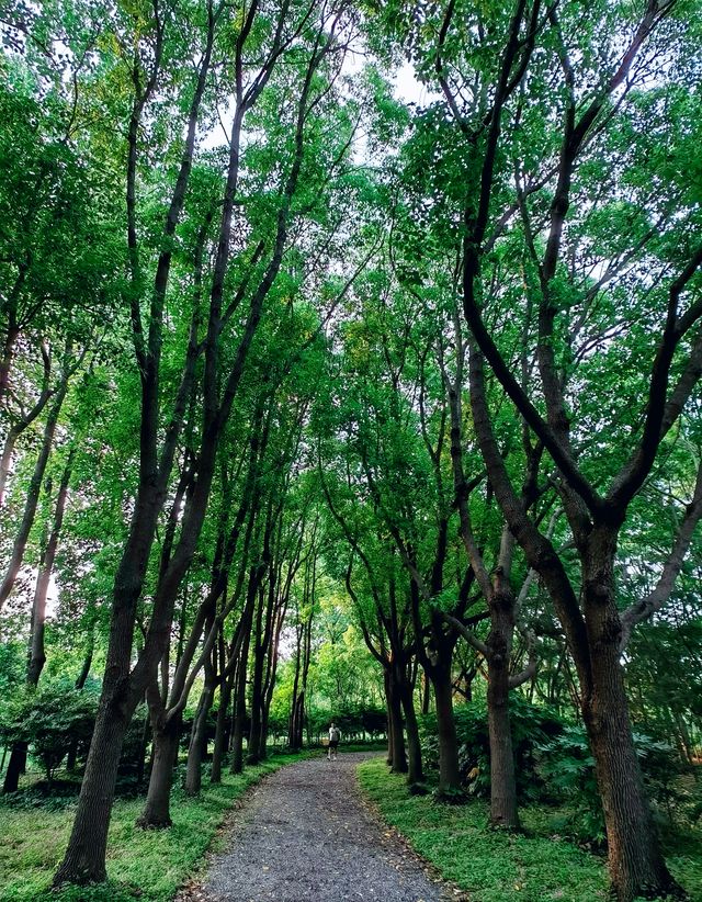 金海濕地公園,這裡不僅僅只有濕地 金海濕地公園,這裡不僅僅只有濕地
