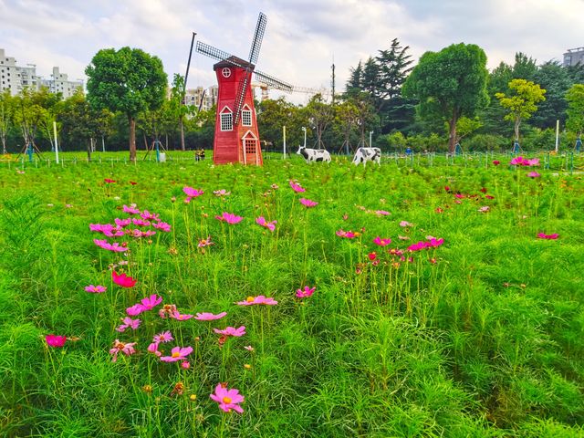 風景如畫喧囂中取靜的公園