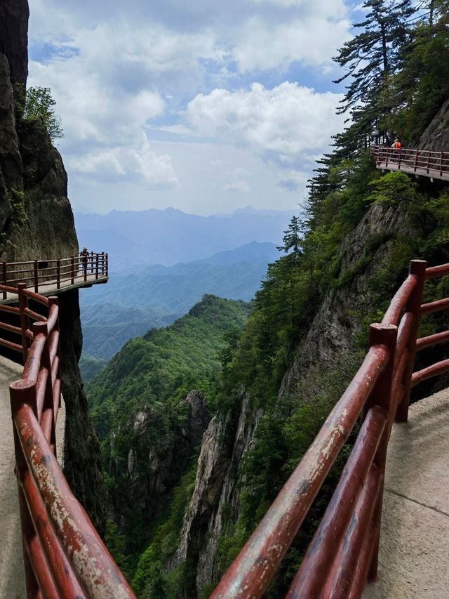 洛陽老君山景區丨中國北方道教聖地