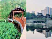 重慶小江南‖彩雲湖濕地公園