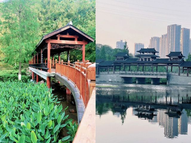 重慶小江南‖彩雲湖濕地公園