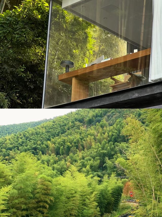 每次不想上班就會在莫干山住幾天讓你感受大自然的美好