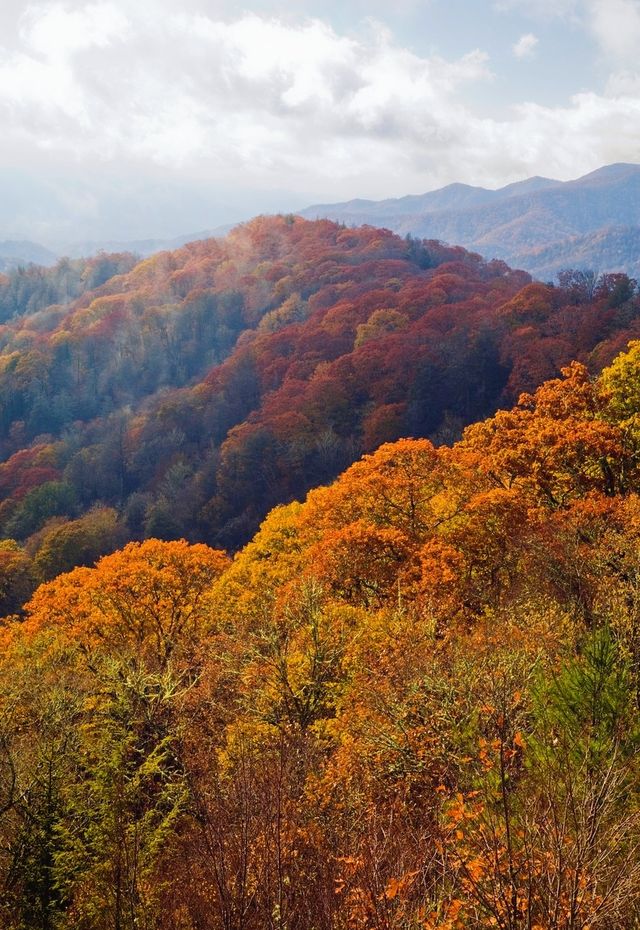 北卡秋天必遊——大煙山的楓葉就是最好的！