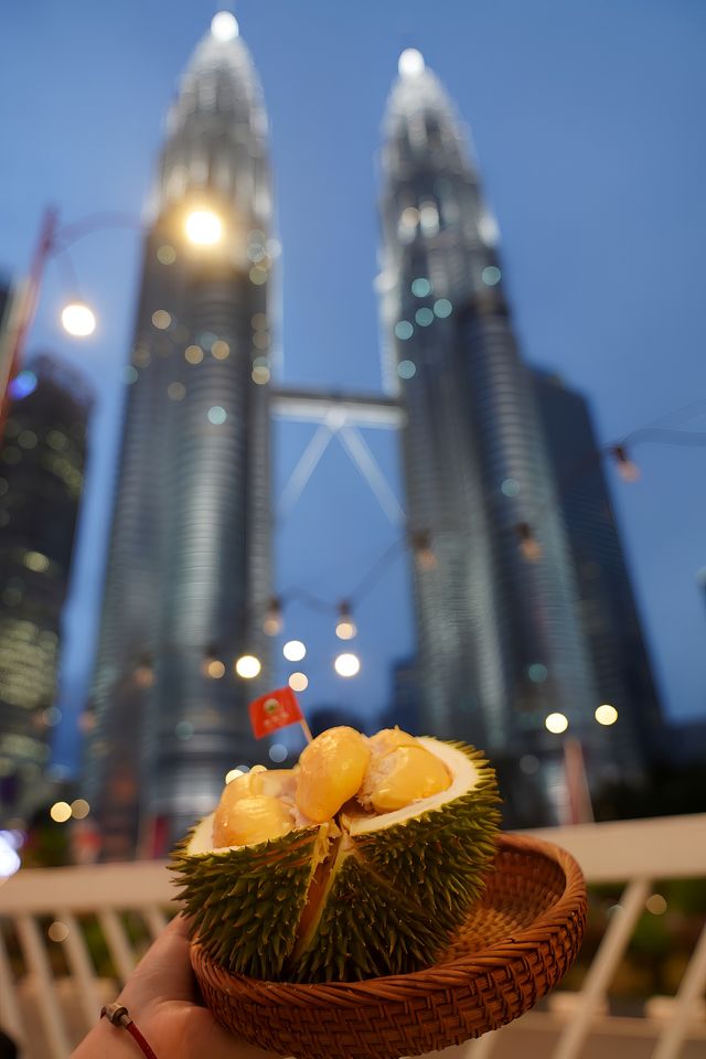 吉隆坡打卡排行第一位：城中城公園看雙子塔