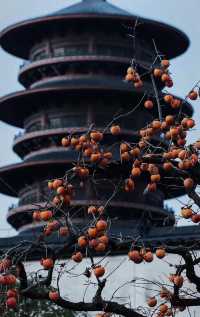 總要來篁嶺看看萬家燈火吧