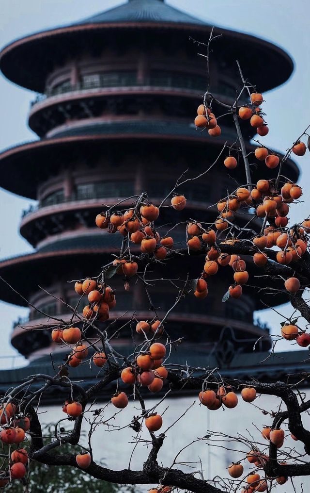 總要來篁嶺看看萬家燈火吧