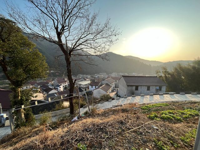 浙江玄武岩柱狀節理奇觀