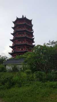 東莞水鄉濕地公園，周末親子遊好去處