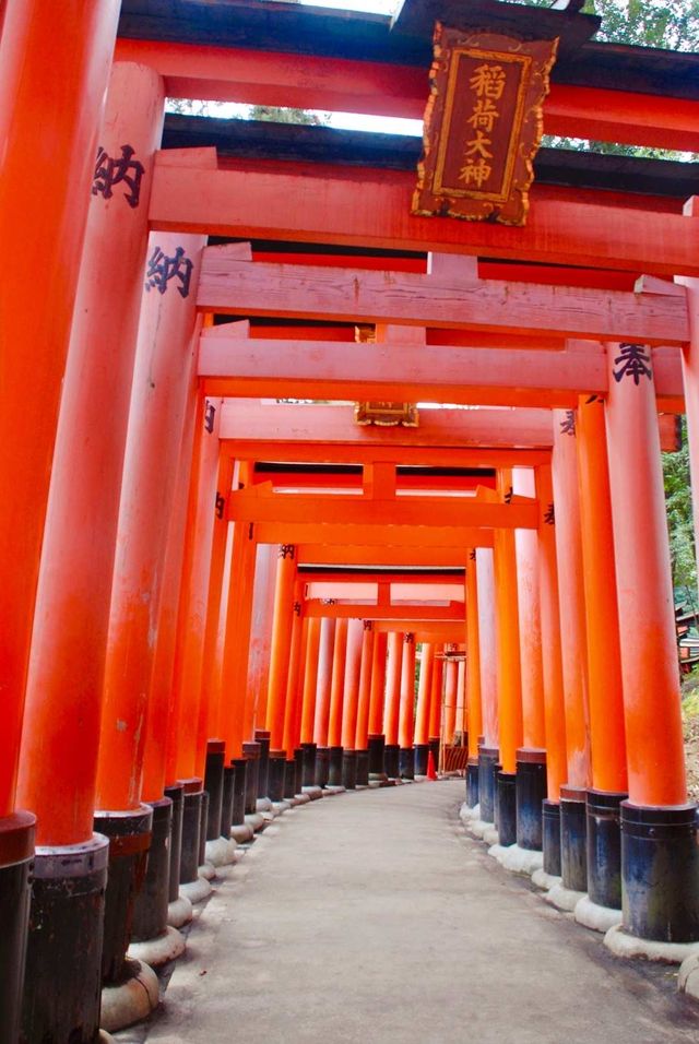 日本京都｜寺廟與神社並存的人文大城