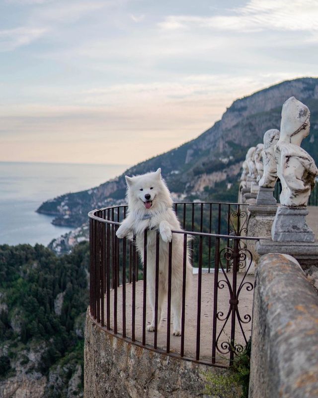 Summer Vibes from the Amalfi Coast in Italy: A Journey Through the Jewel of the Mediterranean!