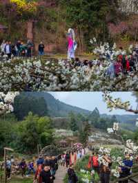 幸福古村攜帶著油菜花來啦，三月桃李還會遠嗎