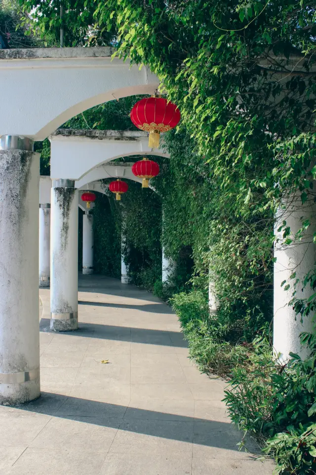 來「溫泉之都」，就逛溫泉公園