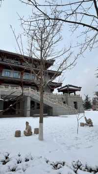 雪後的金城公園和街景