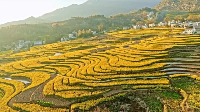 徜徉月河川道，賞清代鳳堰古梯田油菜花海