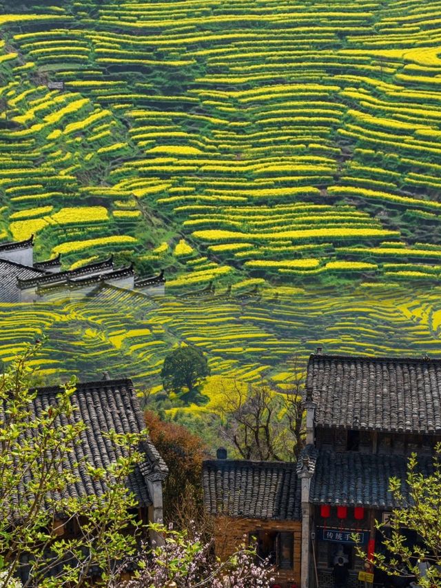 國家地理沒騙我！最美鄉村的春天尊滴美