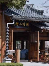 夢回大唐上海必打卡的晚唐風古寺|寶山寺