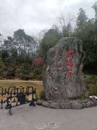 成都大熊猫繁育基地