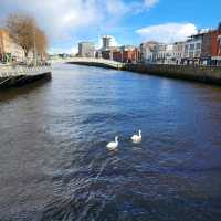 Dublin the joyful Capital