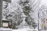 日本札幌北海道神宮｜冬天最美麗的地方