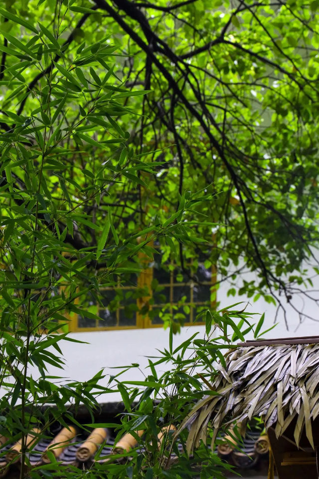 在文泉禅寺，感受時光靜好與內心的平靜