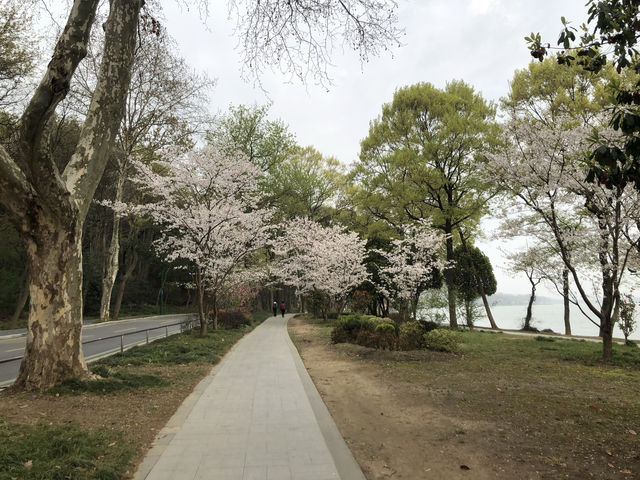 煙花三月 揚州無錫五日遊