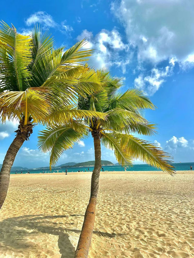 Yalong Bay Best beach in sanya island 🏝️🇨🇳