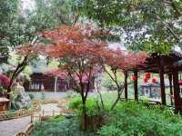 江蘇泰州｜430年歷史的淮左第一園