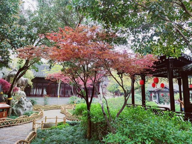 江蘇泰州｜430年歷史的淮左第一園
