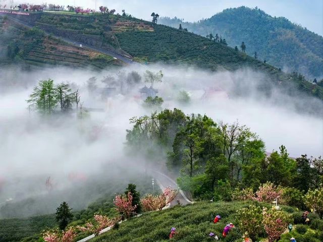 花筑奢·杭州｜來安頂山，邂逅品茶賞景的隱秘之地