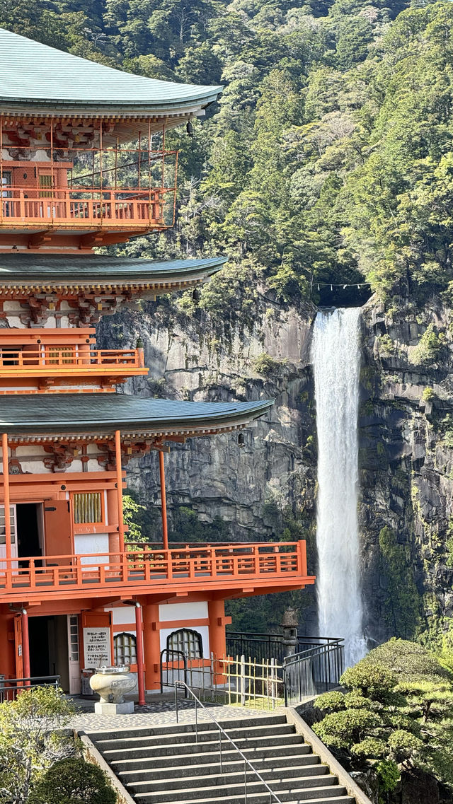 日本紀伊勝浦，還想去第二次！！！