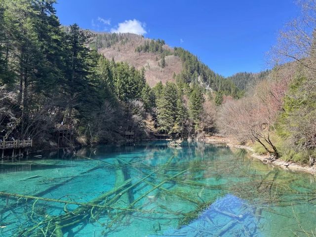 浮光碎花影 九寨四月春