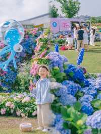 海寧長安花卉小鎮，打卡國際花卉城