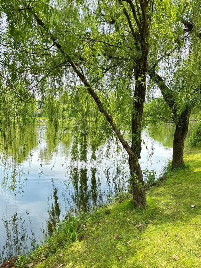 成都遛娃｜捞鱼、摸虾、玩水寶藏公園||