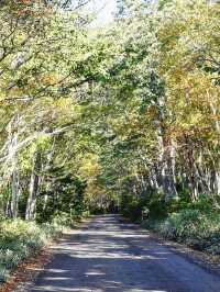 下次旅行去哪裡｜北海道知床可以嗎