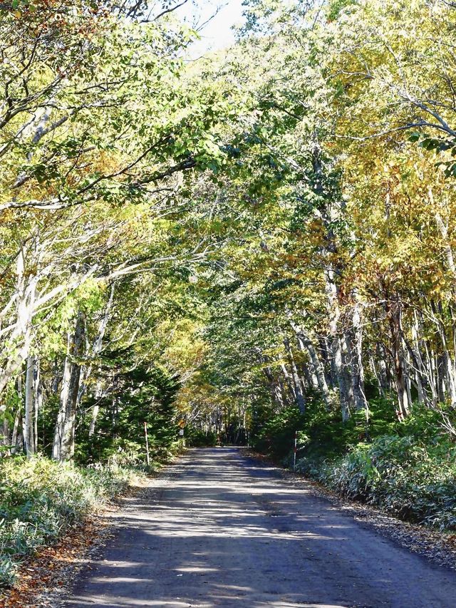 下次旅行去哪裡｜北海道知床可以嗎