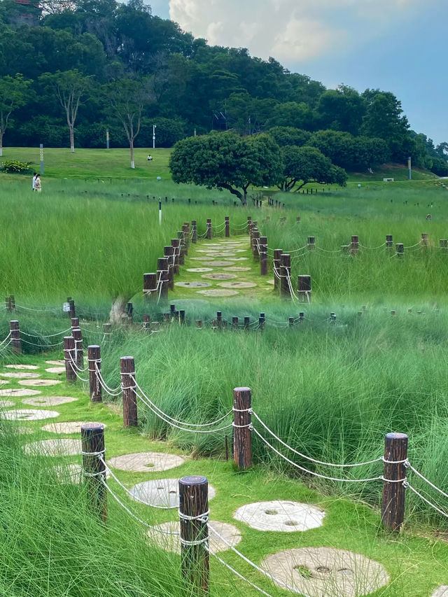 體驗宮崎駿的夏天